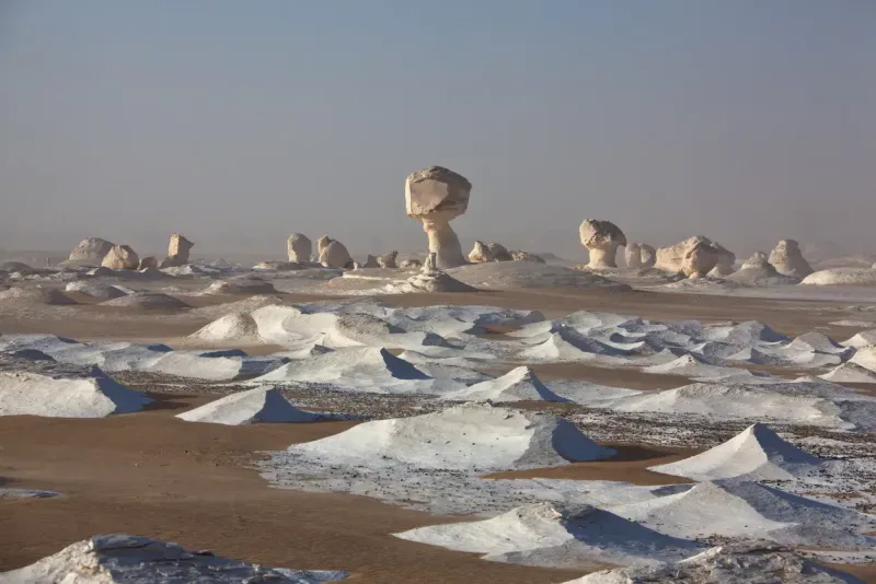 Tour al Desierto Blanco y el Oasis de Bahariya 